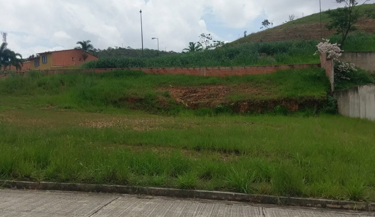 301975737_987702888748025_7825643416723844637_n-edit