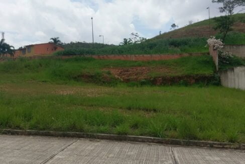 301975737_987702888748025_7825643416723844637_n-edit