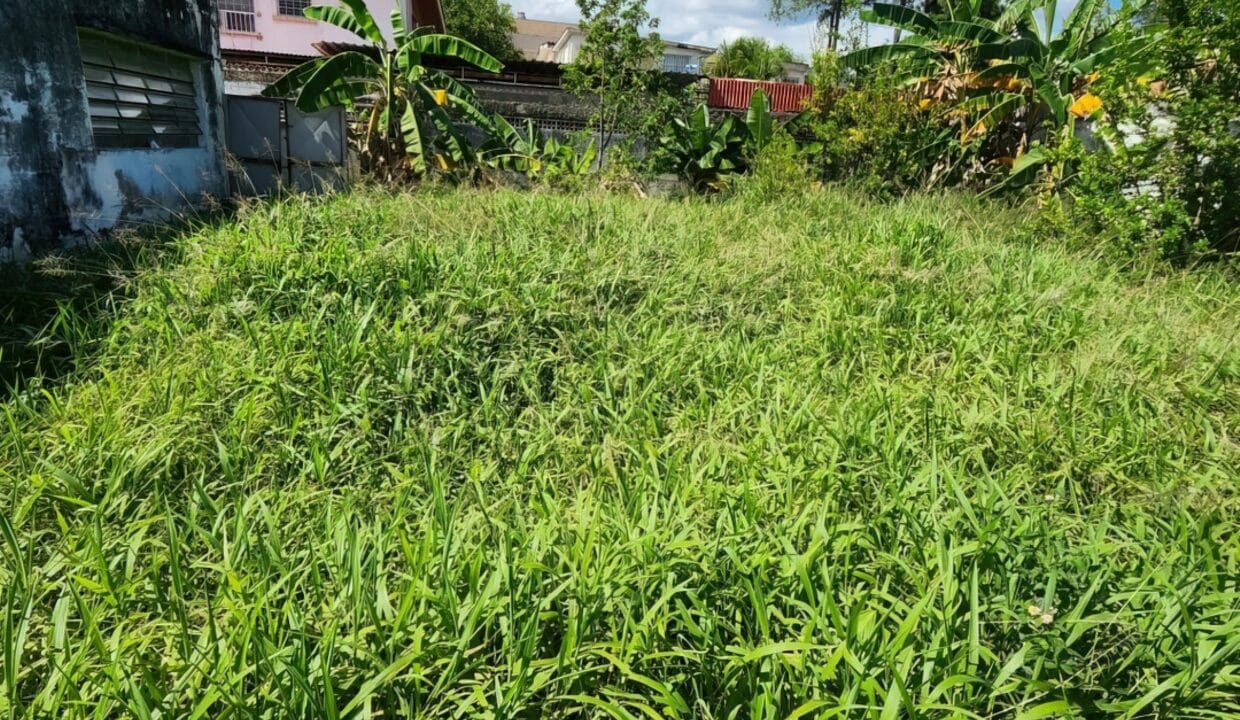 319114295_3678564432381223_7012990715557684689_n-gigapixel-low_res-width-1240px