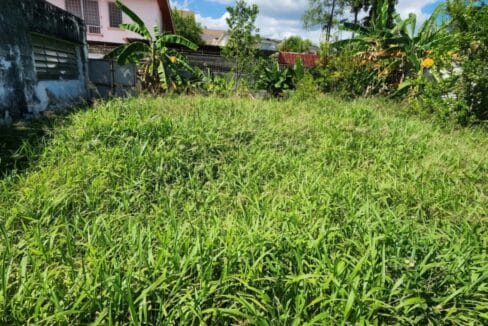 319114295_3678564432381223_7012990715557684689_n-gigapixel-low_res-width-1240px