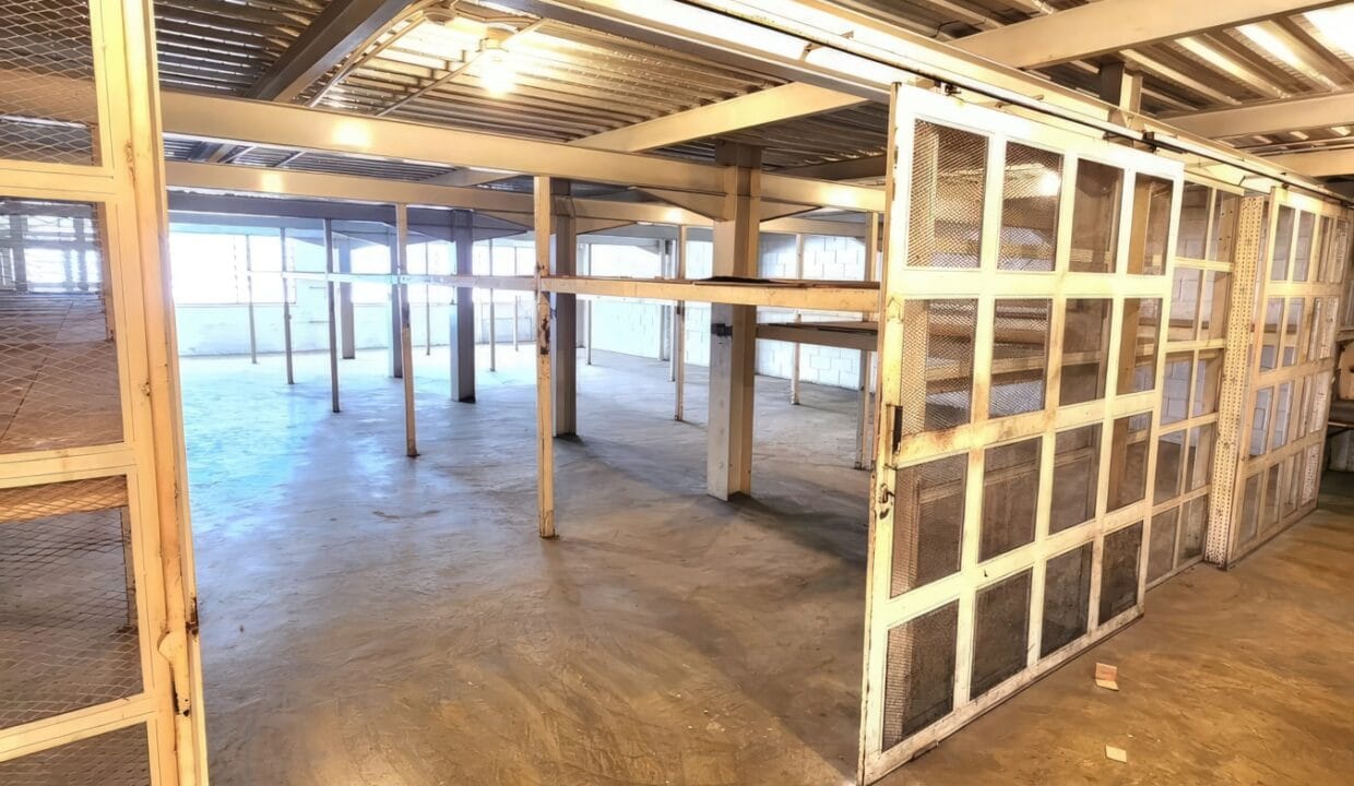 348863464_152773784322633_9131689597848100215_n-gigapixel-standard-scale-1_25x