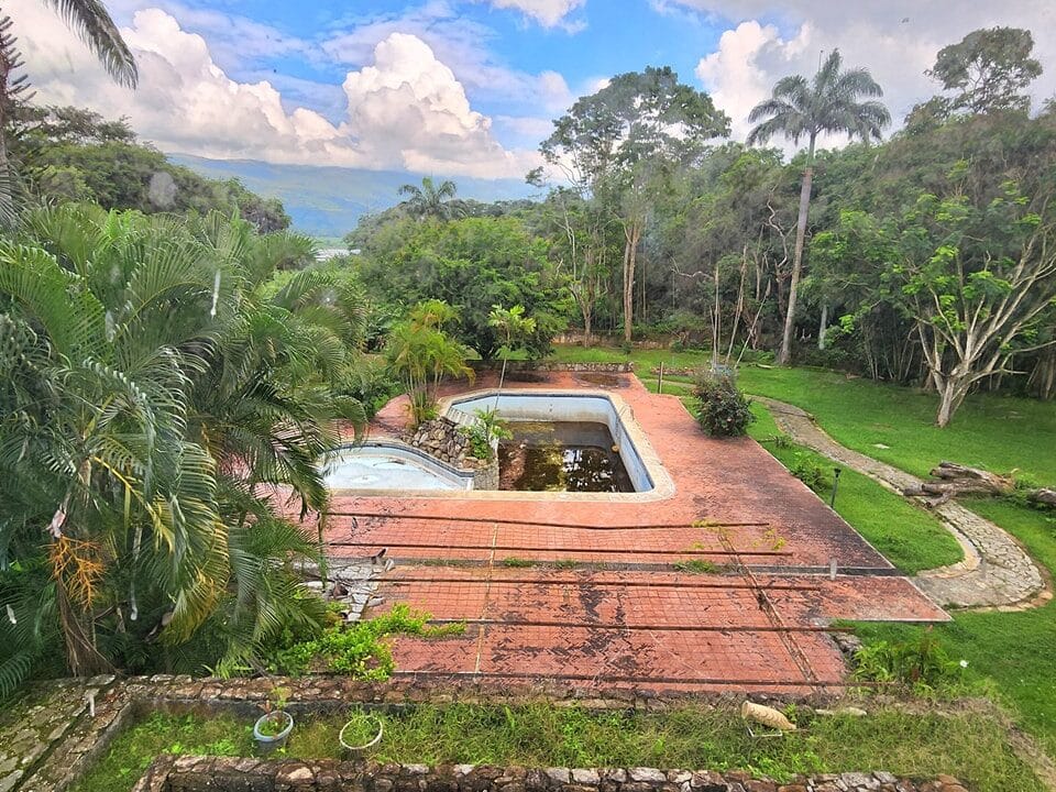 365438714_169692062804235_4408832552151729792_n