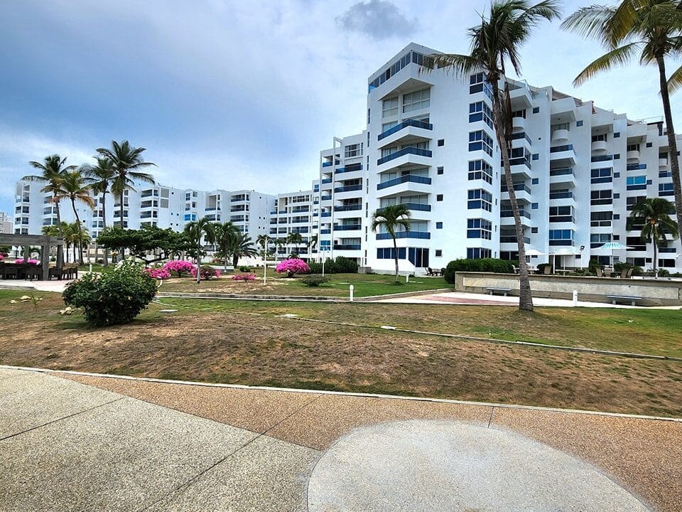 409106563_242274632212644_4165037308243517886_n