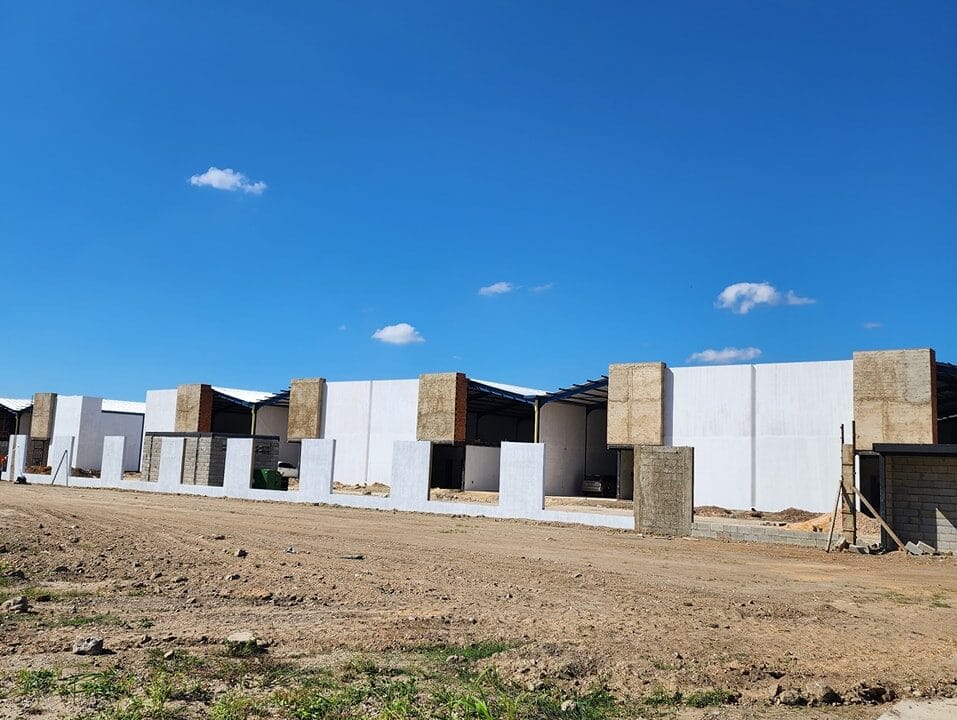 421524246_272041022569338_2283297474007435060_n