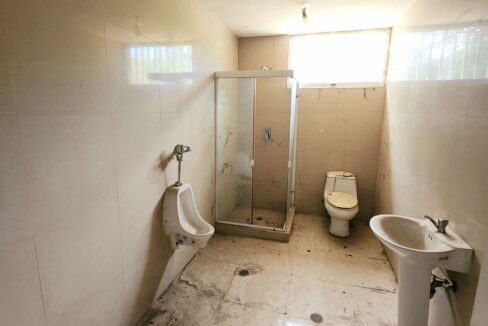 SaveClip.App_459755896_1244887356607505_1326141215544843026_n