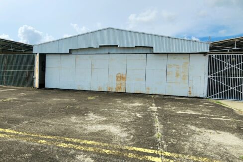 SaveClip.App_459929301_7776375312468964_5067302892114462069_n