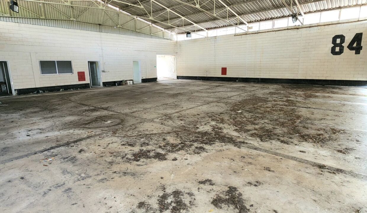 SaveClip.App_460261547_1185328602573023_6019489196295111503_n