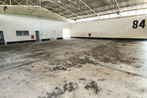 SaveClip.App_460261547_1185328602573023_6019489196295111503_n