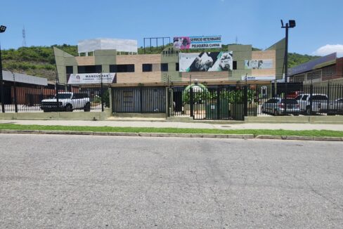 SaveClip.App_461247993_537352238978670_8910321939178662578_n