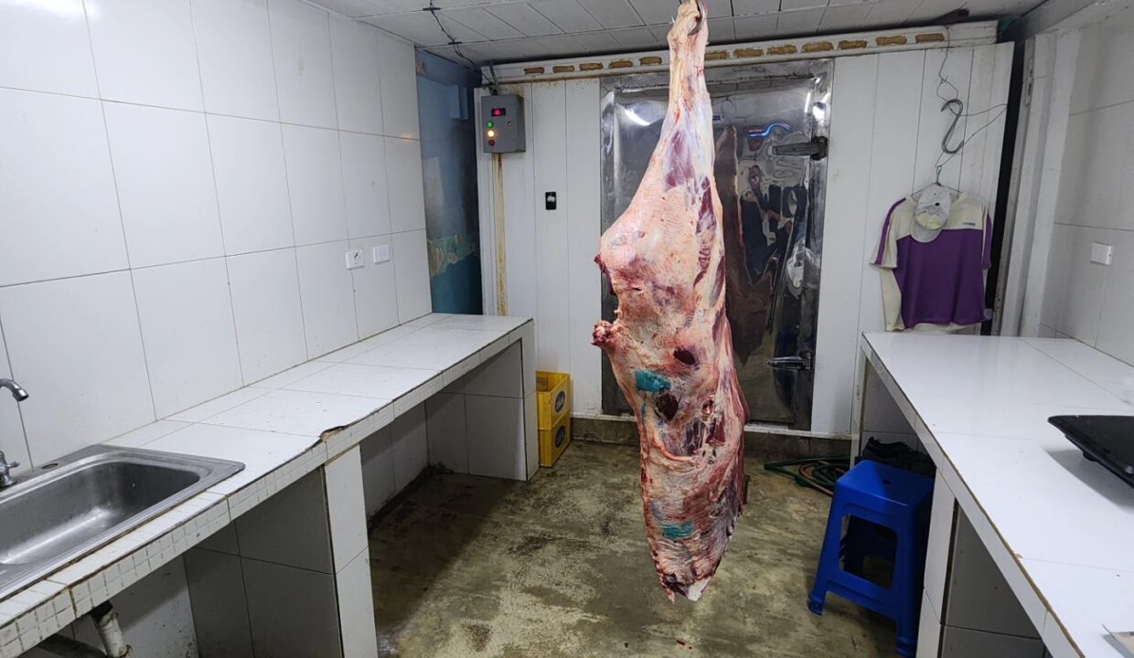 SaveClip.App_461302425_8060134724116256_4175013904614911249_n