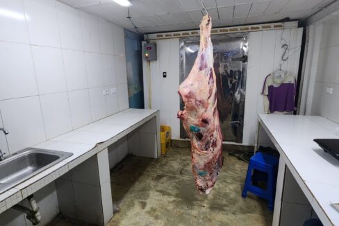 SaveClip.App_461302425_8060134724116256_4175013904614911249_n