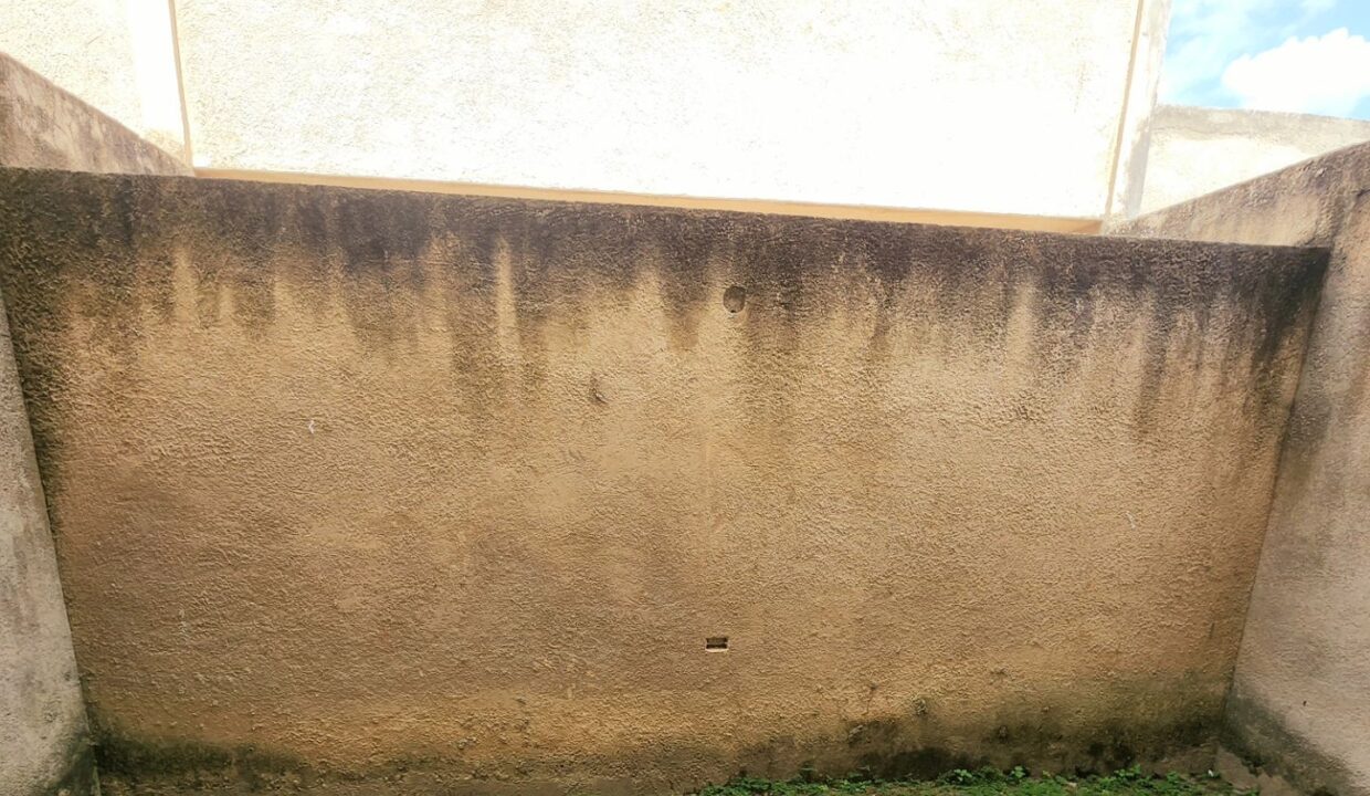 SaveClip.App_461767978_436332349467597_738175345549021441_n