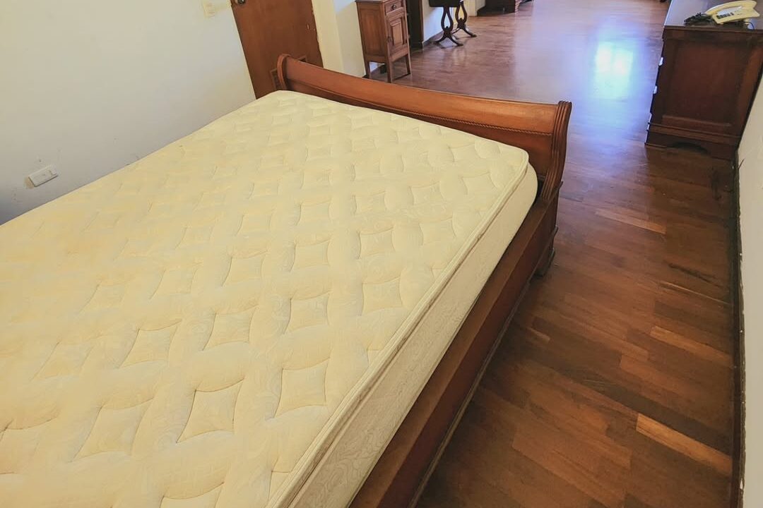 SaveClip.App_466796975_516305788072421_2381910885718996457_n