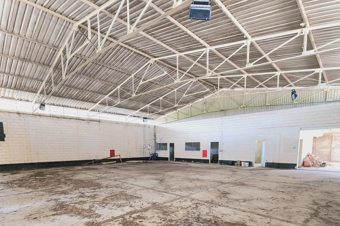 SaveClip.App_466946444_889994236577977_3979193100361499698_n