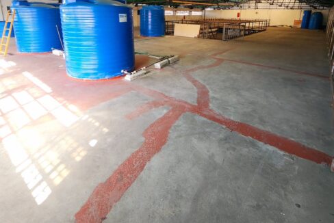 SaveClip.App_483517870_1376694543760353_9003005510060270963_n