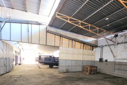 SaveClip.App_483696114_1160773205496509_5589892335404925667_n