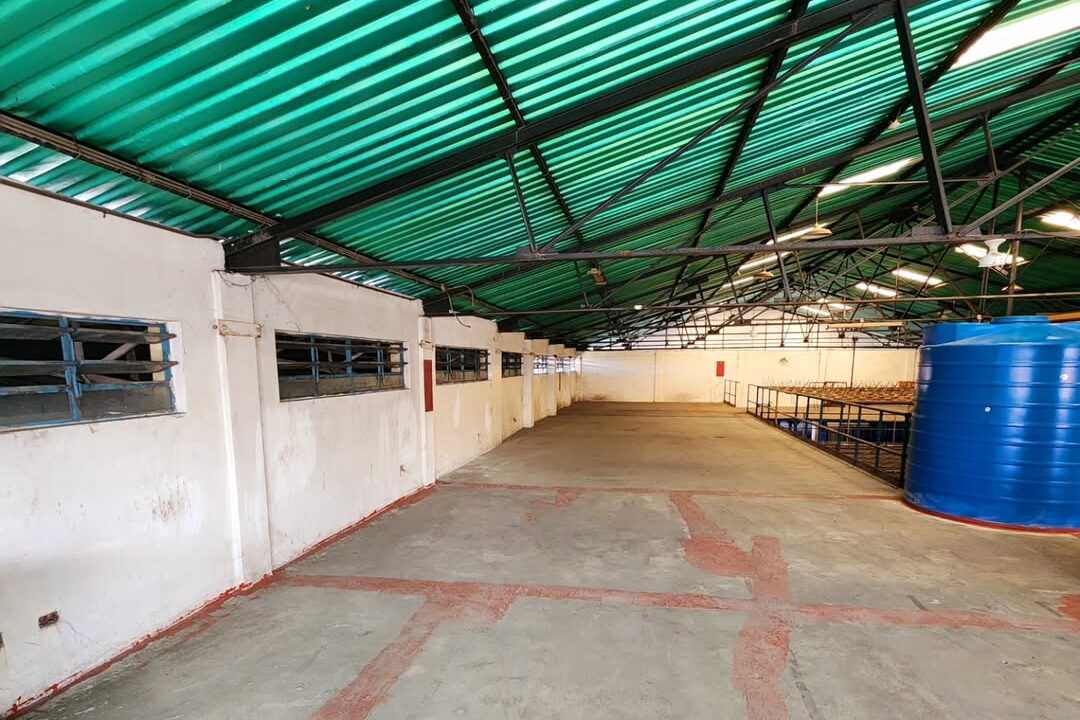 SaveClip.App_483723972_1044068370866021_8484189796679740042_n(1)