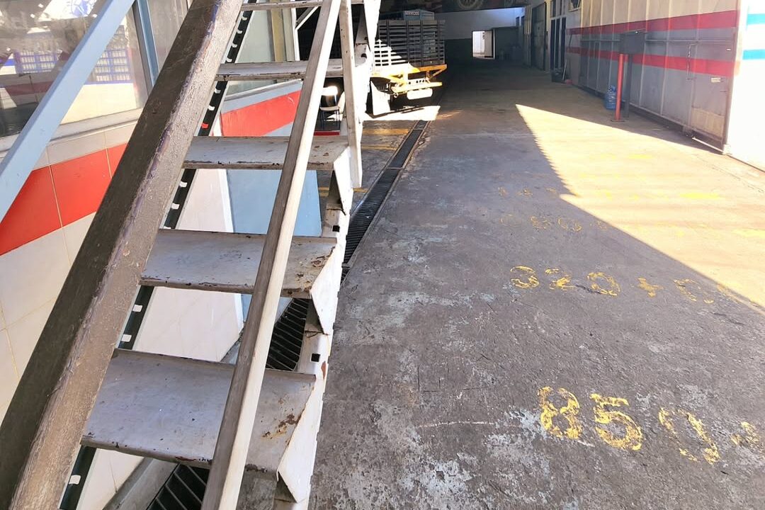 SaveClip.App_484122296_1152175019991484_6578810363812160860_n