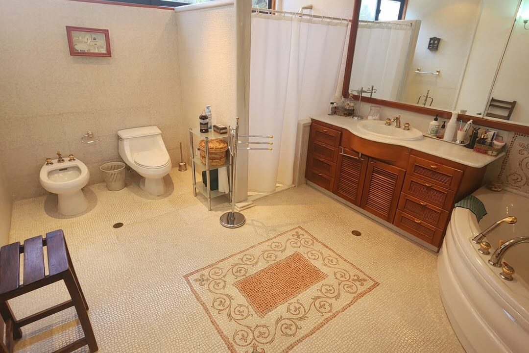 SaveClip.App_486445379_1558561264835652_2032430861459477208_n