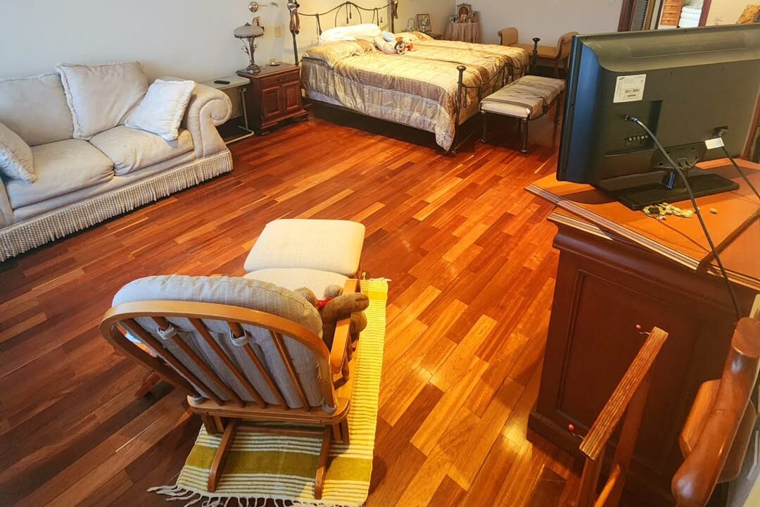 SaveClip.App_486787157_1435163944567537_2431263880172742166_n