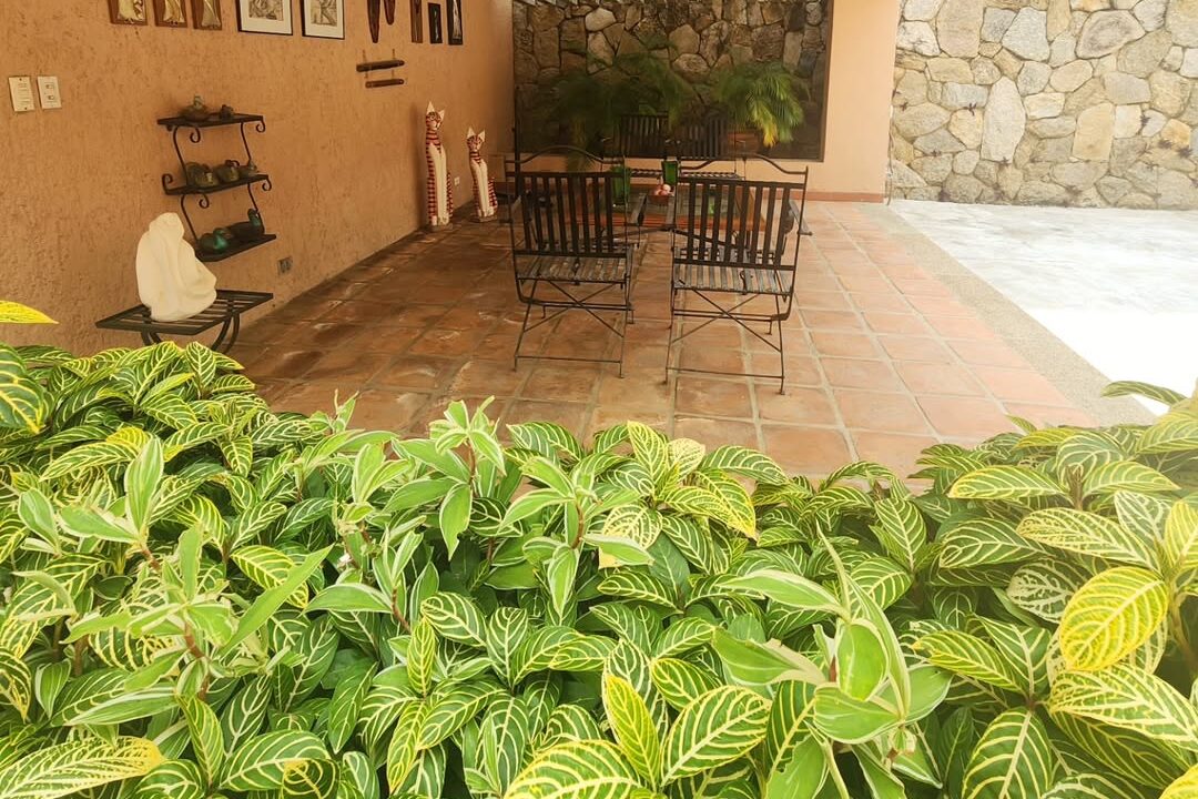 SaveClip.App_487176710_2379315155785436_6719201923176840494_n