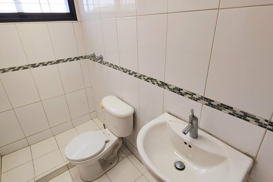 SaveClip.App_491444254_2521963958145116_944728328193911352_n