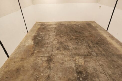 SaveClip.App_526639645_522391994263998_4915880655686049228_n