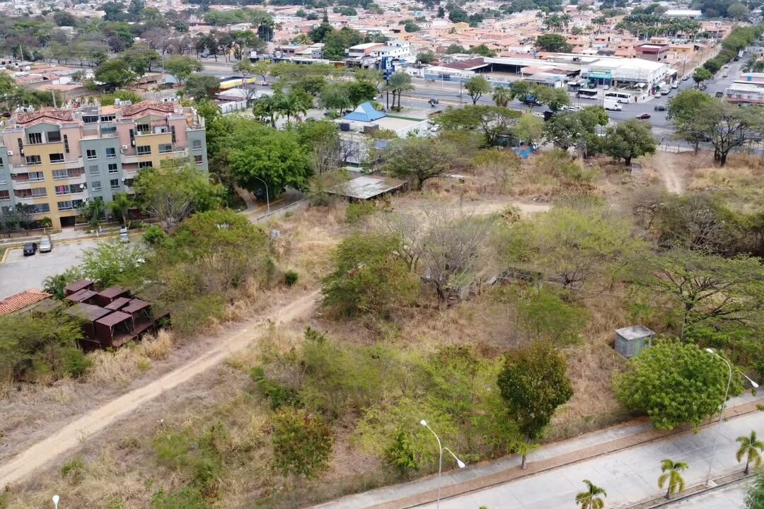 SaveClip.App_531630446_1776278946597833_7121077665102040641_n