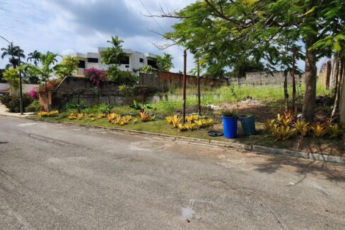 SaveClip.App_532135031_768301992243446_2591577413285197914_n