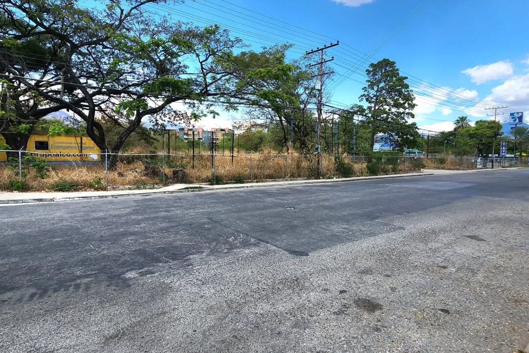 SaveClip.App_532457338_1431148558007211_2571852851018992304_n