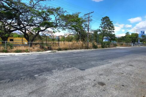 SaveClip.App_532457338_1431148558007211_2571852851018992304_n