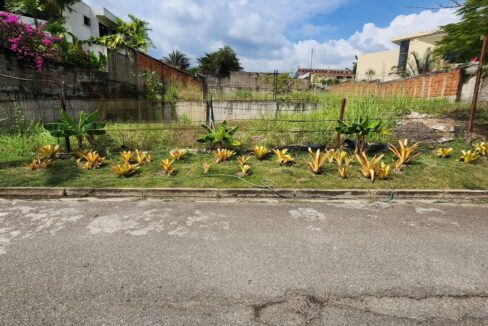 SaveClip.App_532514917_2311305679290784_2470449315387387562_n