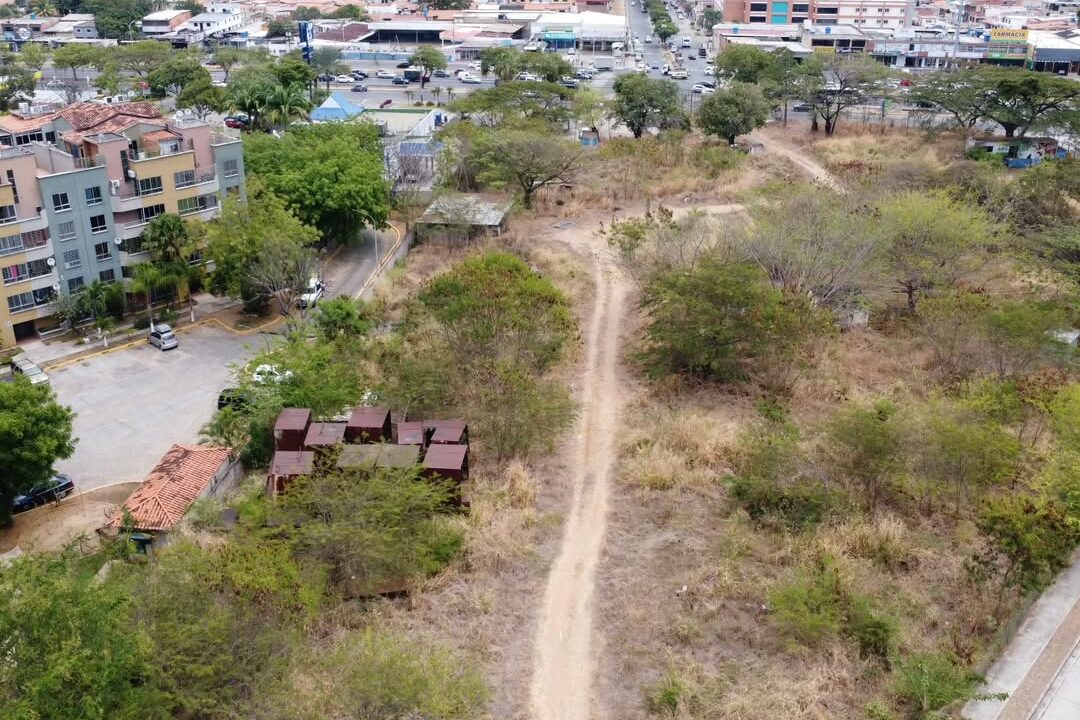 SaveClip.App_532999292_24296701303283998_8803700143630138845_n