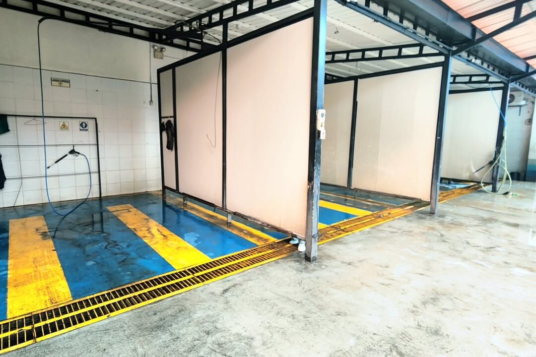 SaveClip.App_557709357_18066286007461105_1100059489037377619_n