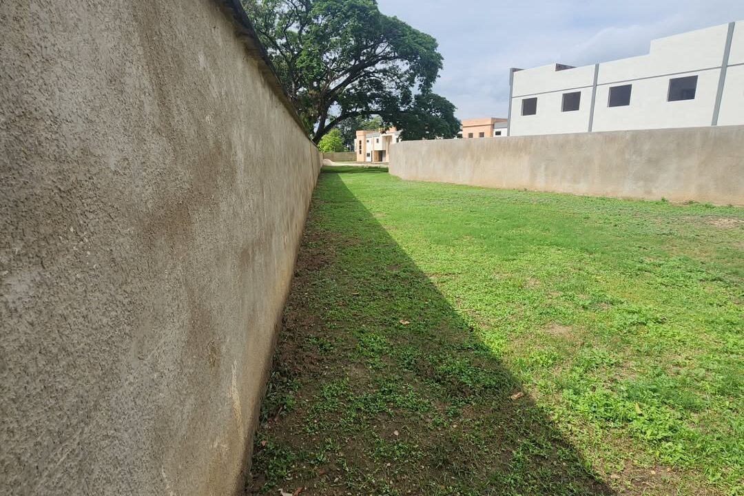 SaveClip.App_572794293_18534468877000499_1791163079532490677_n