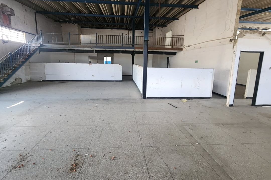 SaveClip.App_588086070_18540785065000499_8383084158556801625_n