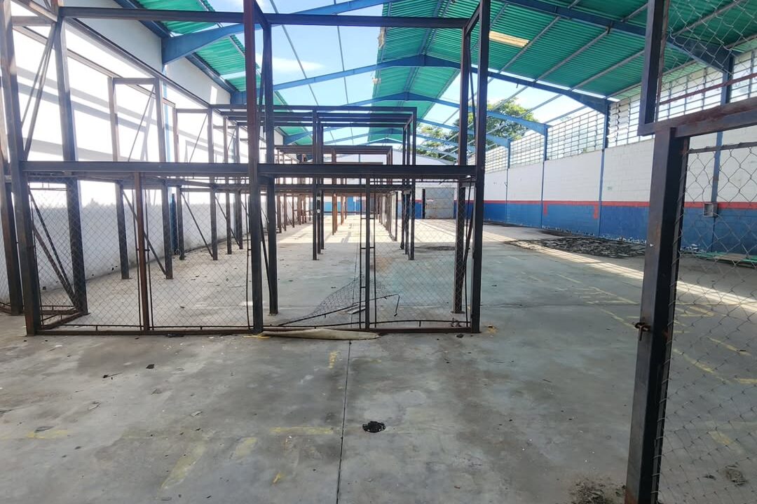 SaveClip.App_589048598_18540785011000499_3890553964819903312_n