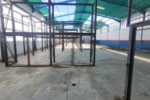 SaveClip.App_589048598_18540785011000499_3890553964819903312_n