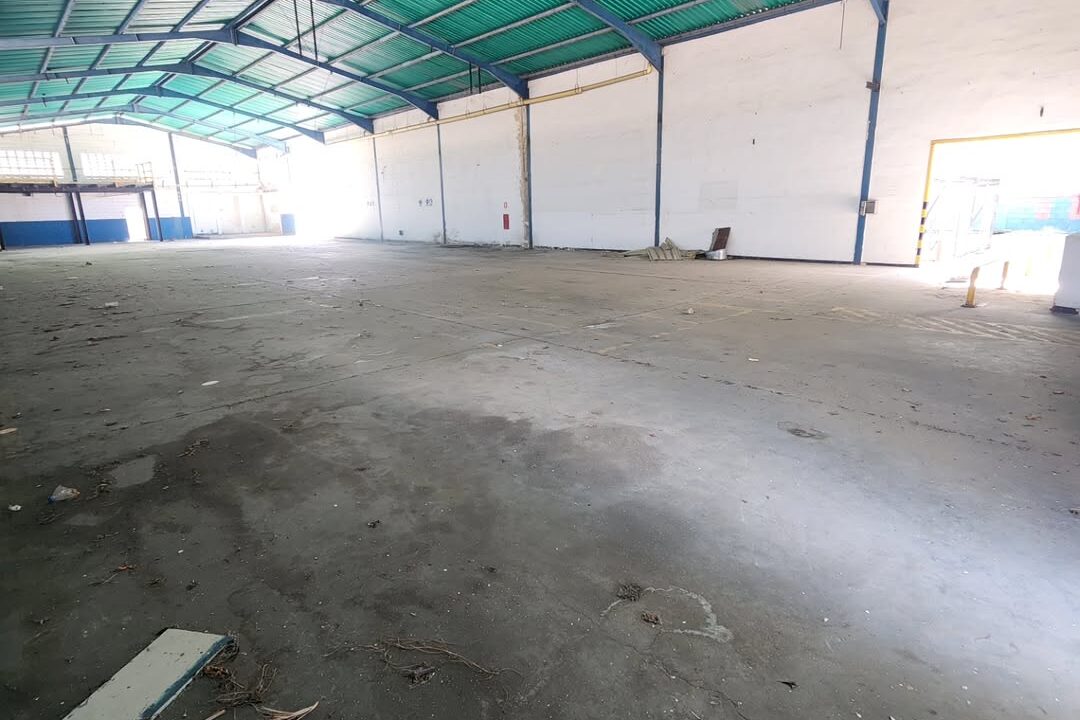 SaveClip.App_589610267_18540784978000499_5855608267033543848_n