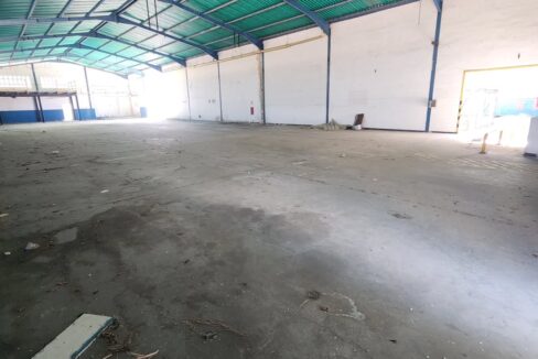 SaveClip.App_589610267_18540784978000499_5855608267033543848_n