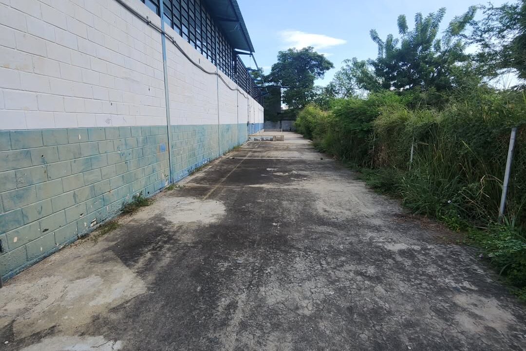 SaveClip.App_589946415_18540785140000499_8020246376269759969_n