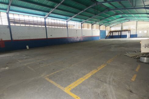 SaveClip.App_591685453_18540785002000499_2542559396150170278_n