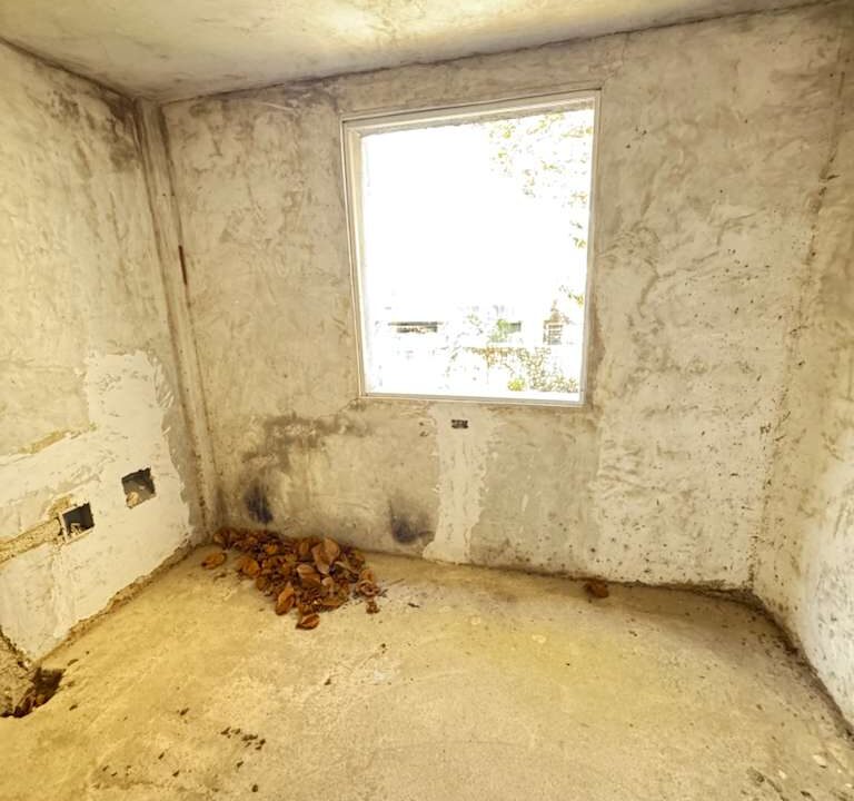 WhatsApp Image 2026-01-15 at 10.22.30 AM (3)