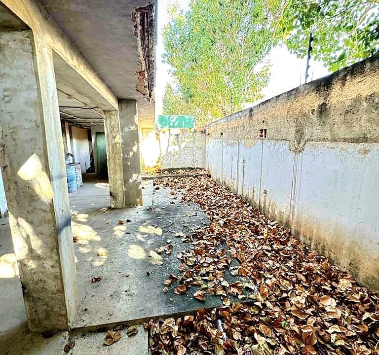 WhatsApp Image 2026-01-15 at 10.22.31 AM (2)