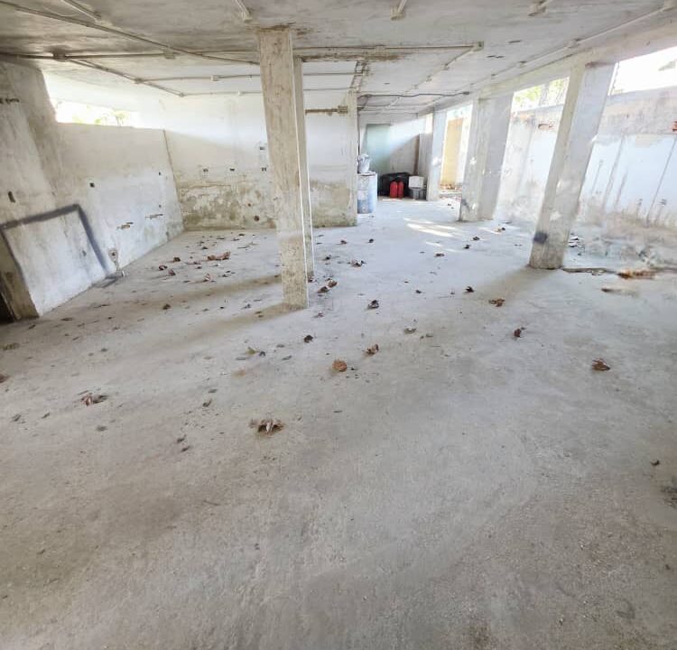 WhatsApp Image 2026-01-15 at 10.22.32 AM (1)