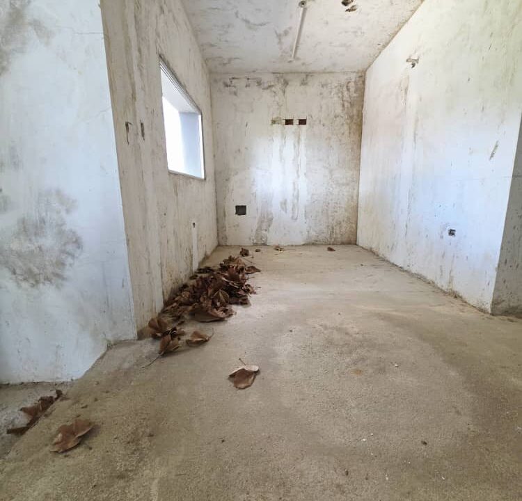 WhatsApp Image 2026-01-15 at 10.22.34 AM