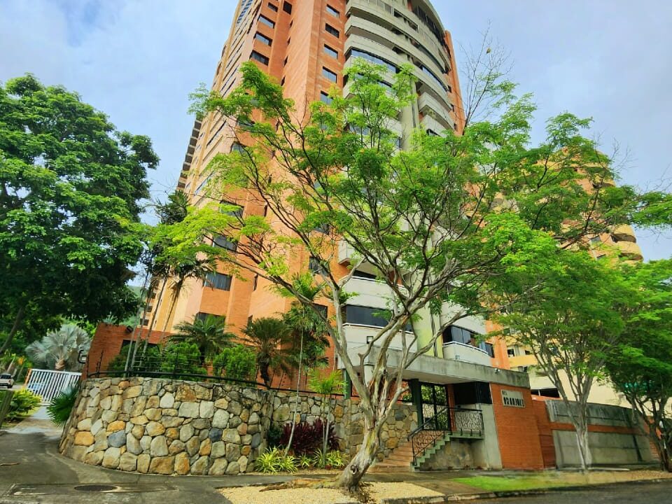 WhatsApp Image 2026-01-16 at 11.04.57 AM