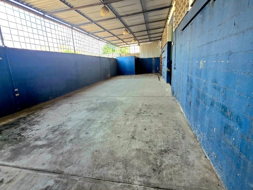 WhatsApp Image 2026-02-10 at 10.43.15 AM