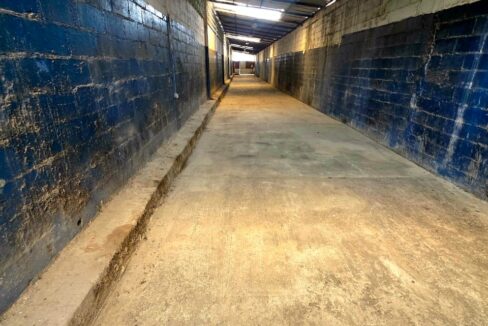 WhatsApp Image 2026-02-10 at 10.43.16 AM