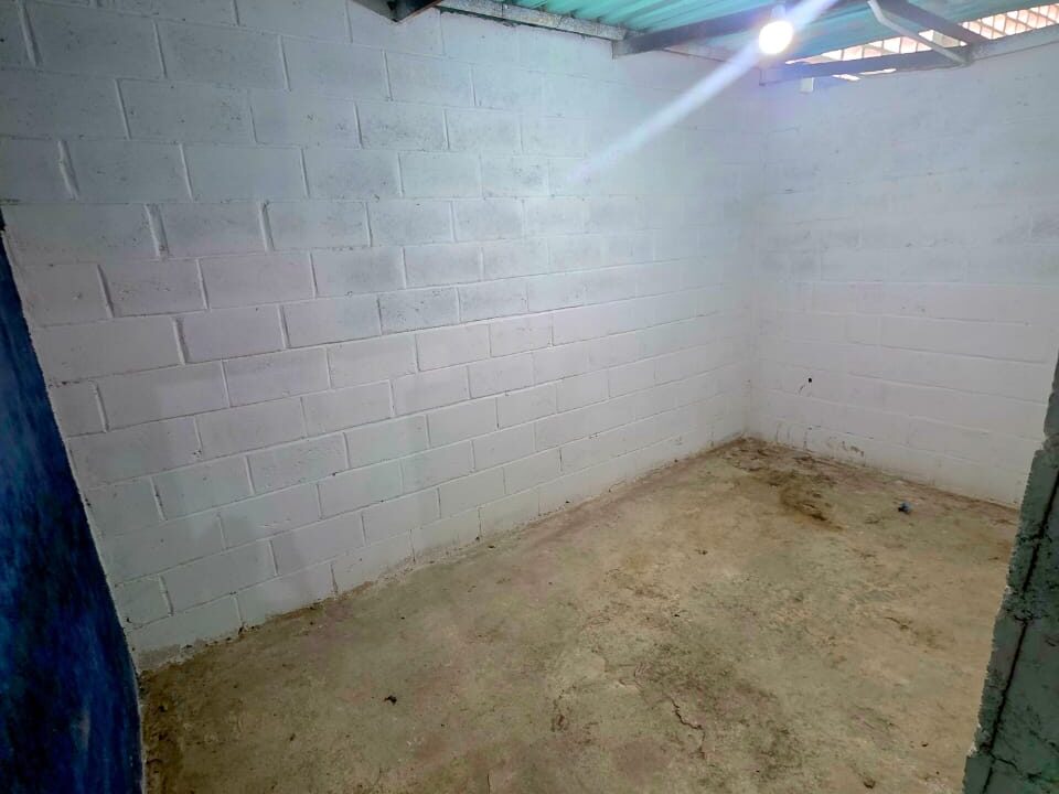 WhatsApp Image 2026-02-10 at 10.43.17 AM